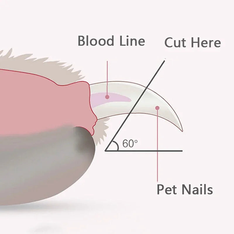 Safe Pet Nail Clippers with LED Light,Professional Claw Grooming Scissors Trimmer for Dogs Cats Rabbits,Stainless Steel Portable